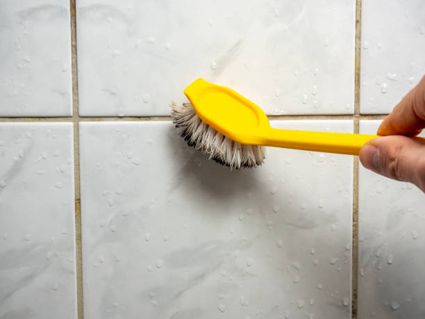 Best Insurance-Related Mold Remediation in North Logan, UT