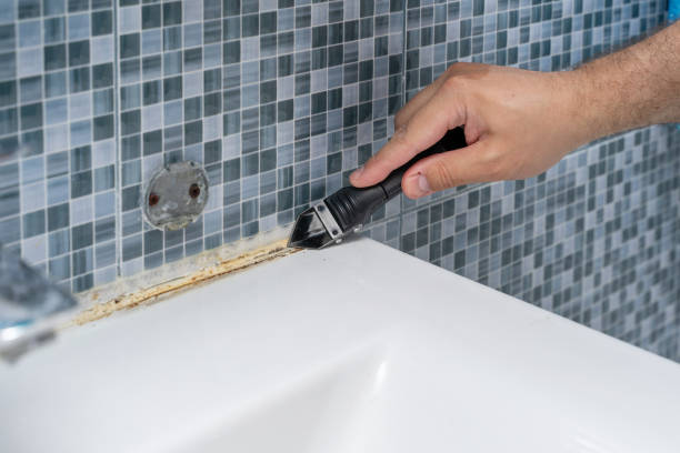 Best Residential Mold Remediation in North Logan, UT
