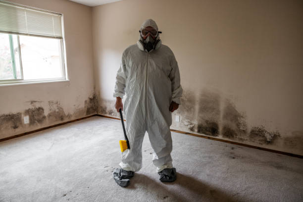 Trusted North Logan, UT Mold Remediation Experts